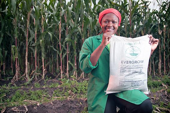 Sanergy_farmers use Evergrow fertilizer
