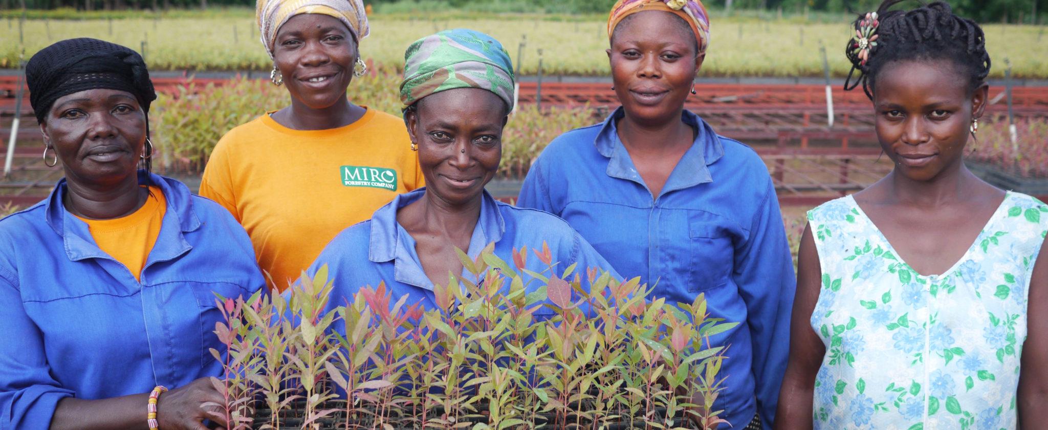 Employees of Miro Forestry