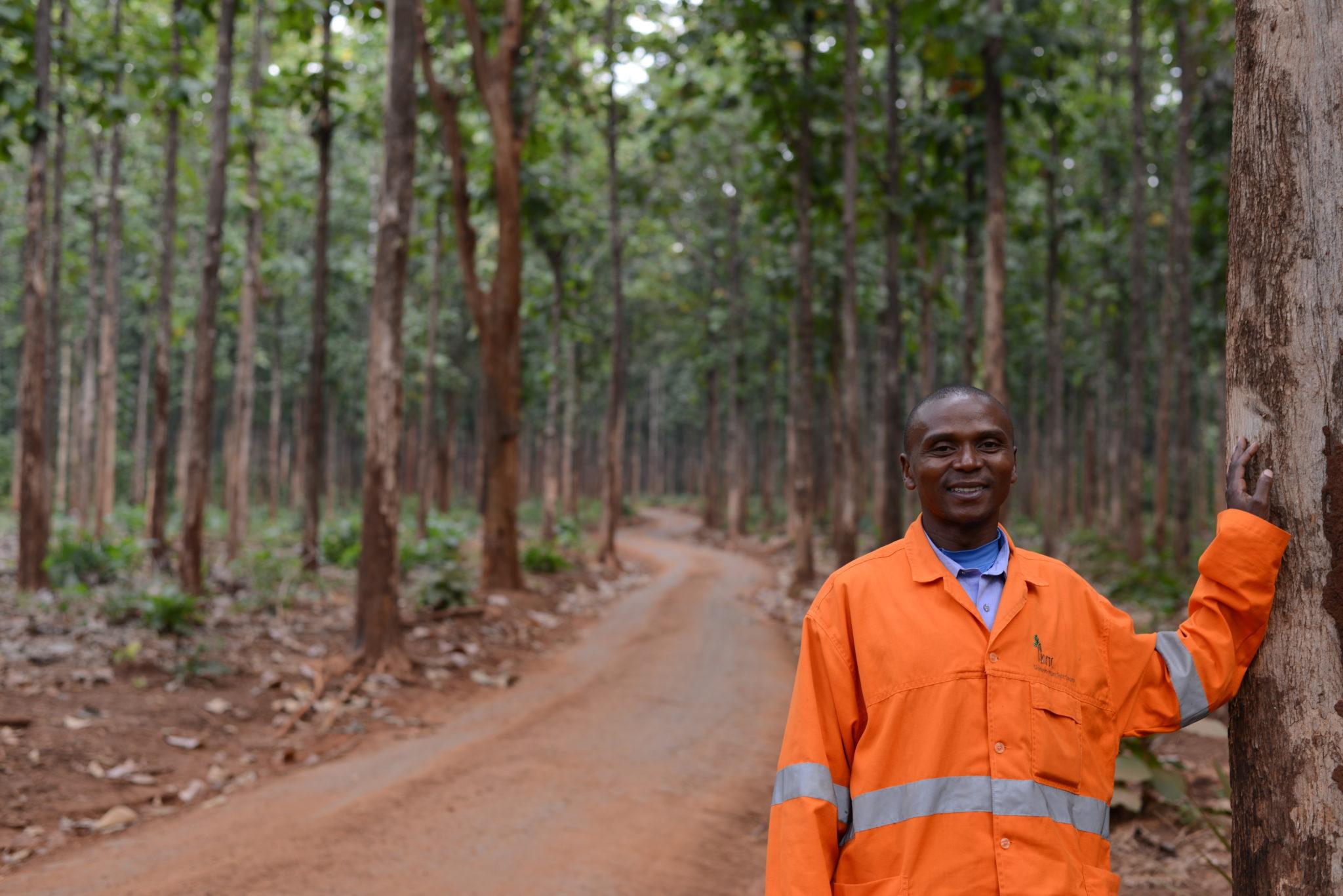 KVTC worker leaning against a tree in a forest