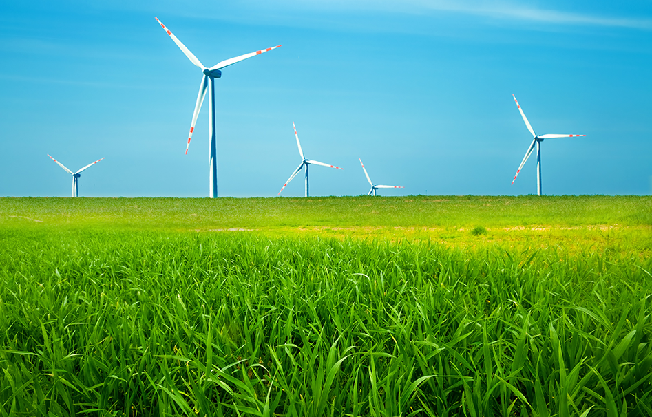 Windmills on a green field